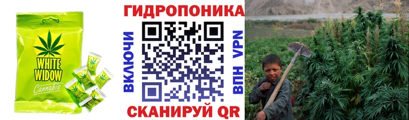 Еда ТГК марихуана  Купить закладки  Южа 