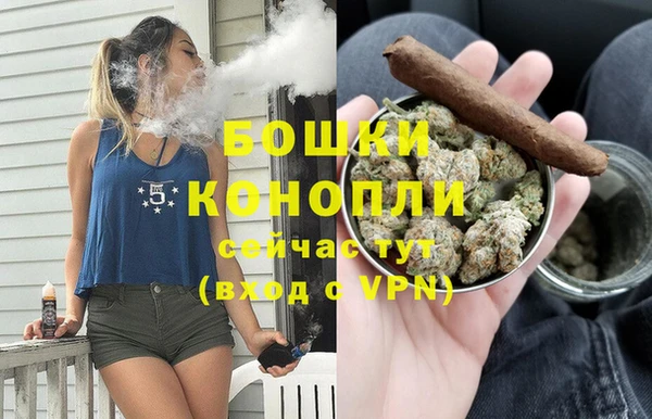 мдпв Бородино