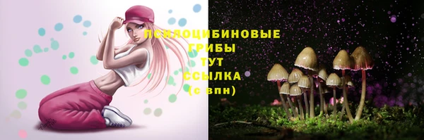 мдпв Бородино