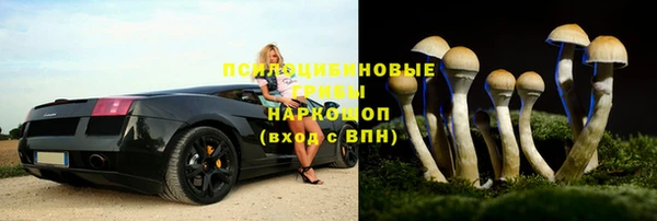экстази Белокуриха