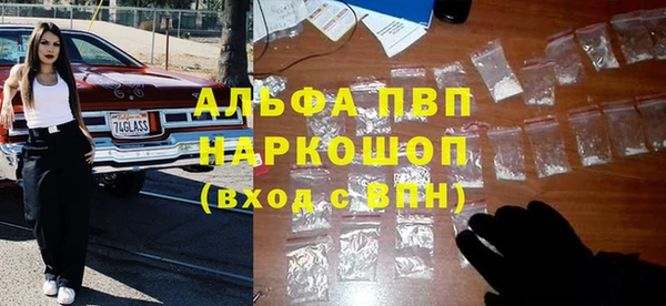 мдпв Бородино