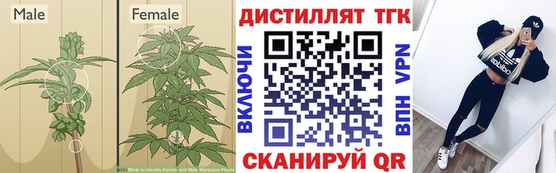 ТГК гашишное масло  Купить где  Южа 